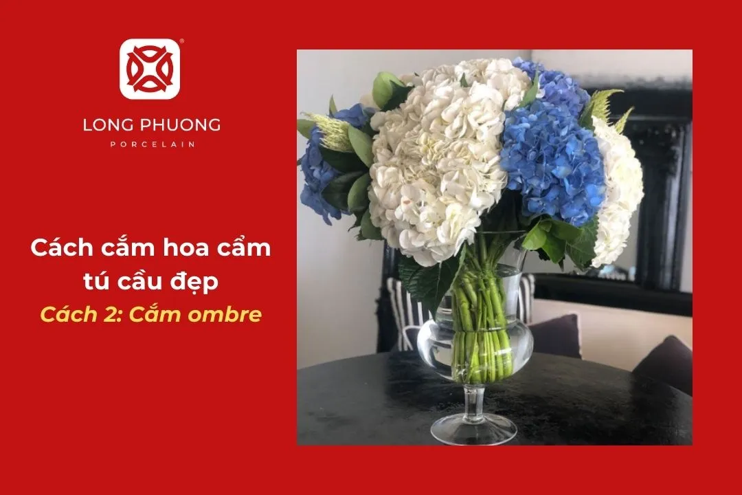 cắm hoa tú cầu dáng ombre