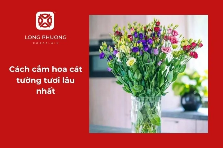 Bí quyết cắm hoa cát tường tươi lâu, nở đẹp