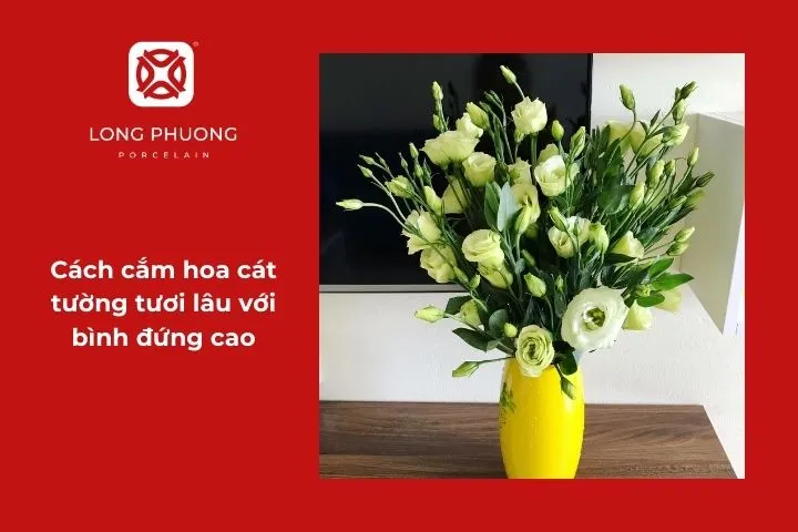 Cách cắm hoa cát tường đẹp, sang trọng và tươi lâu