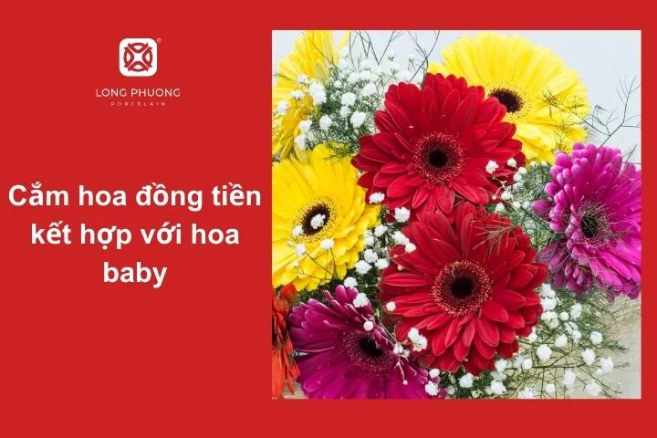 Cách cắm hoa đồng tiền và hoa baby theo phong cách nhẹ nhàng