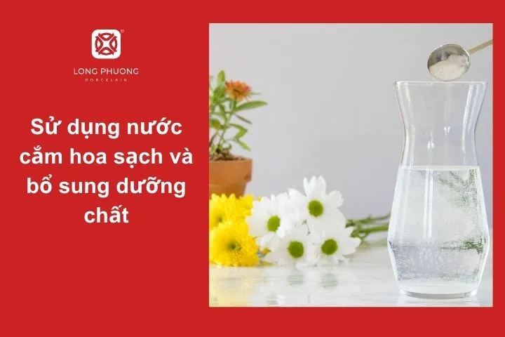 Bí quyết pha nước cắm hoa giữ hoa đồng tiền tươi lâu
