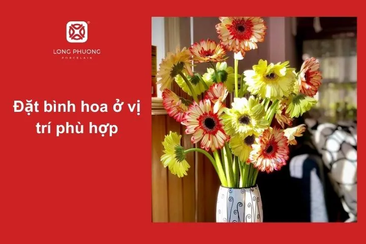 Đặt bình hoa đồng tiền ở đâu để giữ hoa tươi lâu?