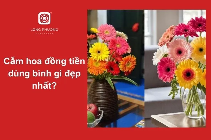 Chọn bình hoa nào để tôn lên vẻ đẹp của hoa đồng tiền?