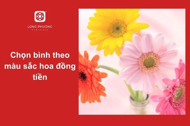 Bí quyết chọn màu bình phù hợp với hoa đồng tiền