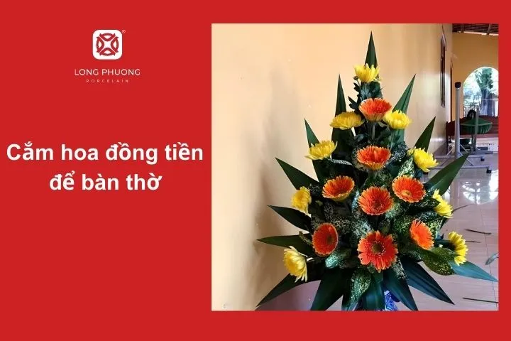 Cách cắm hoa đồng tiền trang nghiêm để bàn thờ ngày lễ, Tết