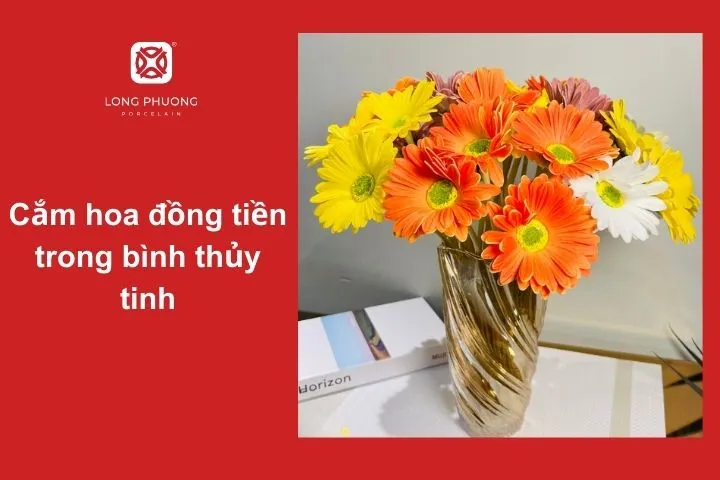 Cắm hoa đồng tiền trong bình thủy tinh đơn giản mà thanh lịch