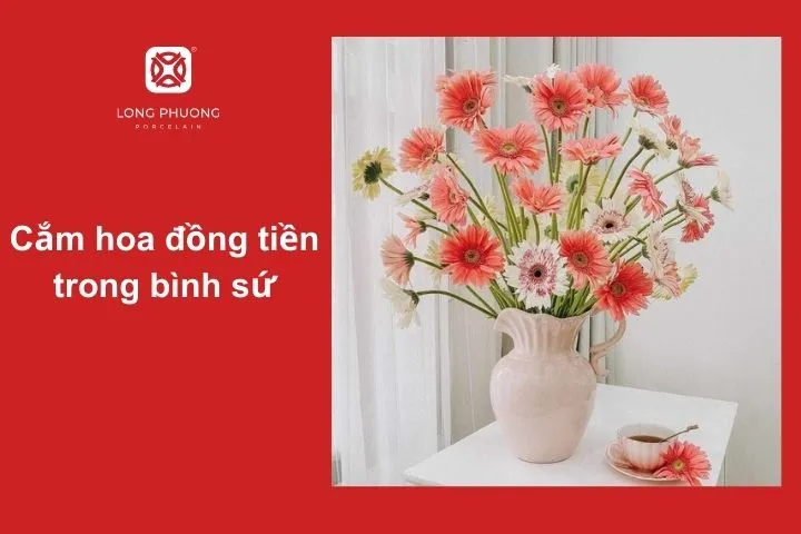 Cắm hoa đồng tiền trong bình sứ tạo sự tinh tế và sang trọng