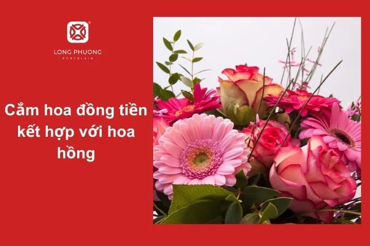 Sự kết hợp hoàn hảo giữa hoa đồng tiền và hoa hồng
