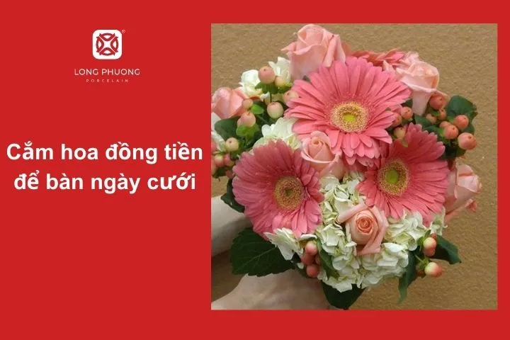 Bữa tiệc cưới lãng mạn với hoa đồng tiền tươi tắn