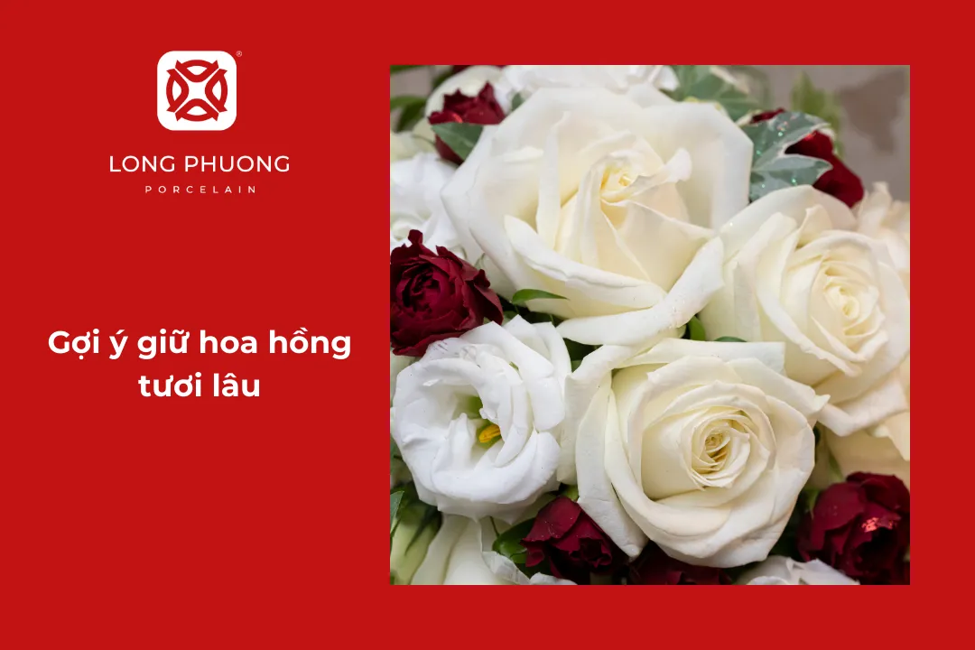 cách giữ hoa hồng tươi lâu