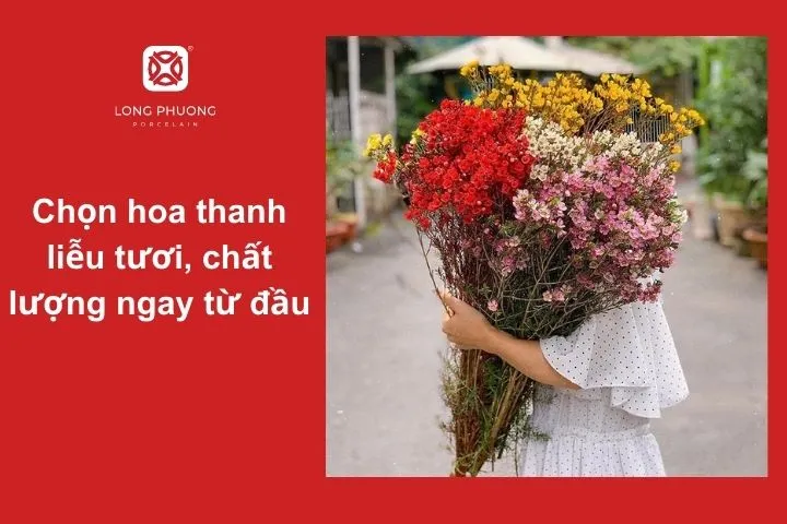 Ưu tiên mua hoa tại những cửa hàng uy tín để đảm bảo hoa được bảo quản đúng cách
