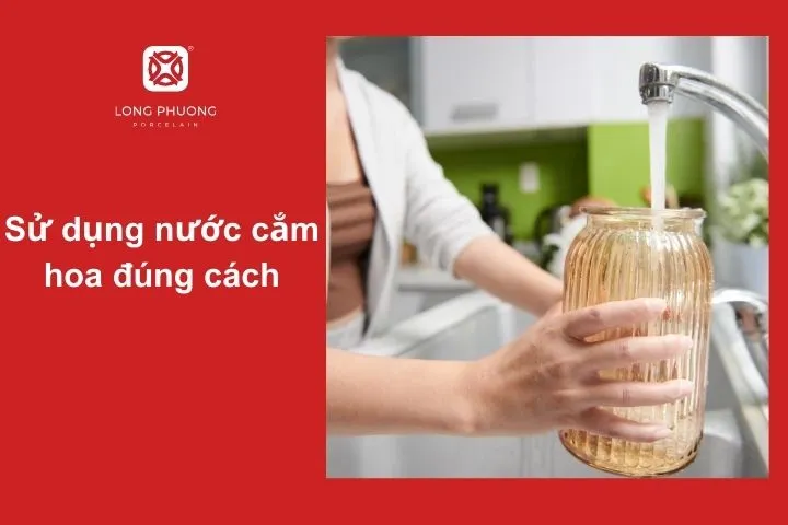 Sử dụng nước sạch và bổ sung dưỡng chất cho hoa