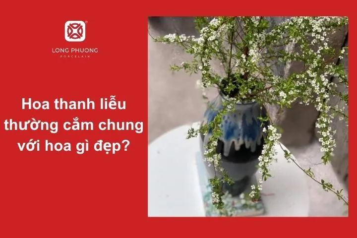 Việc lựa chọn hoa kết hợp không chỉ giúp tăng thêm tính thẩm mỹ mà còn làm nổi bật nét đẹp đặc trưng của hoa thanh liễu