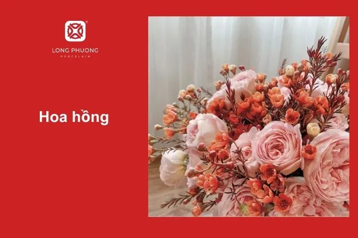 Hoa hồng – Sang trọng và lãng mạn