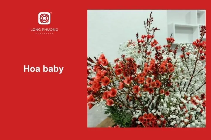 Hoa baby – Nhẹ nhàng, tinh khôi