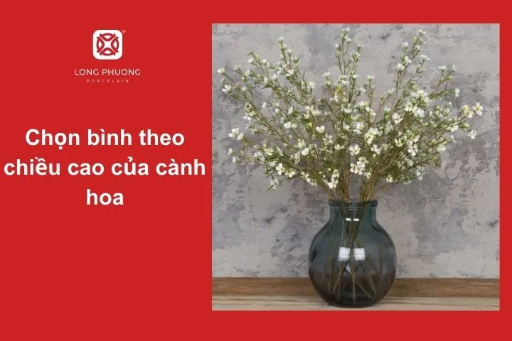 Chọn bình có chiều cao phù hợp