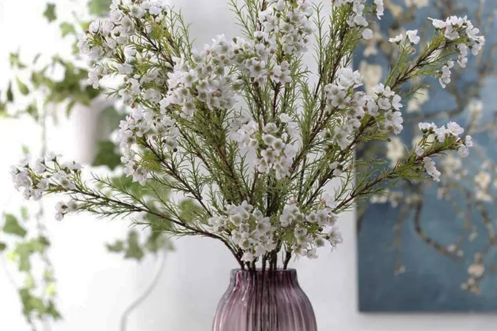 Cách cắm hoa thanh liễu đẹp tạo nên điểm nhấn thẩm mỹ trong không gian sống