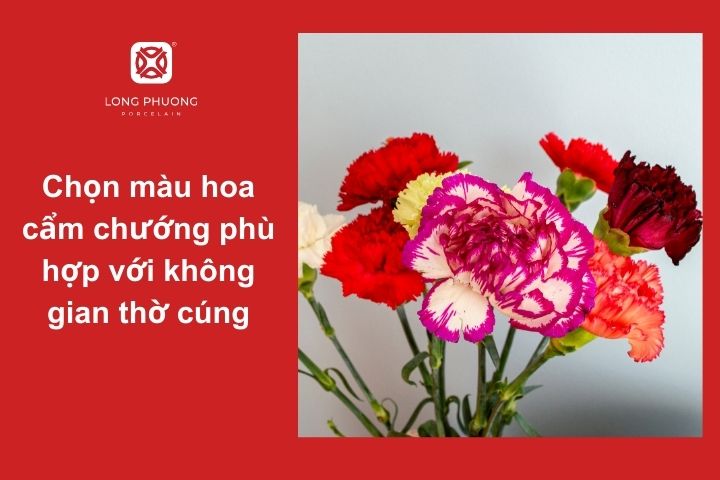 Lựa chọn màu sắc hoa cẩm chướng trang trí bàn thờ theo phong thủy