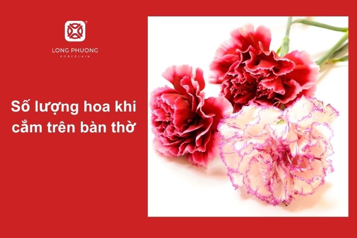 Cắm số lượng hoa cẩm chướng phù hợp để thu hút may mắn