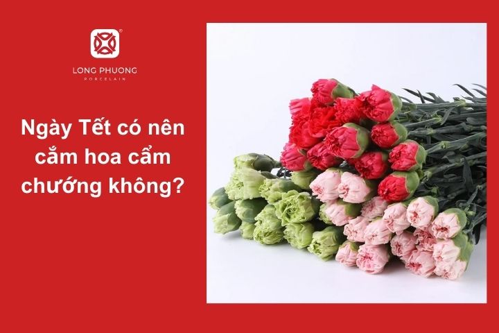 Trang trí Tết với hoa cẩm chướng – Mang may mắn và tài lộc vào nhà