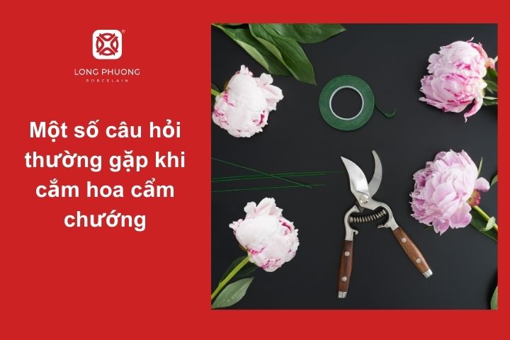 Giải đáp thắc mắc khi cắm hoa cẩm chướng – Mẹo hay không thể bỏ qua