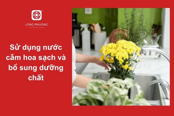 Cách giữ hoa cẩm chướng tươi lâu bằng nước dưỡng hoa