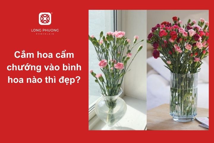 Chọn bình hoa phù hợp sẽ giúp cắm hoa cẩm chướng đẹp nhất