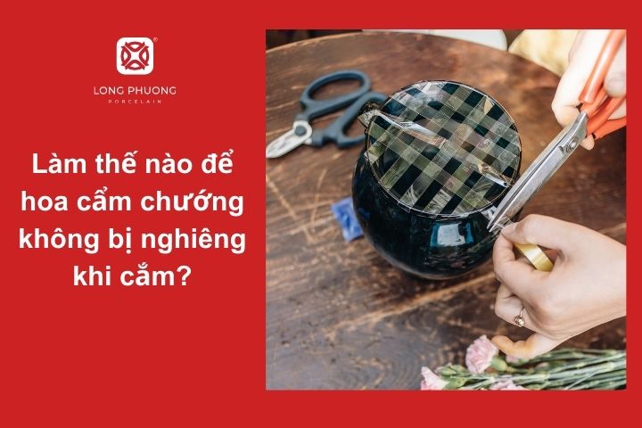 Cách giữ hoa cẩm chướng đứng vững – Đơn giản mà hiệu quả