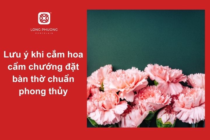 Cắm hoa cẩm chướng đặt bàn thờ đúng phong thủy – Tôn kính và trang nghiêm