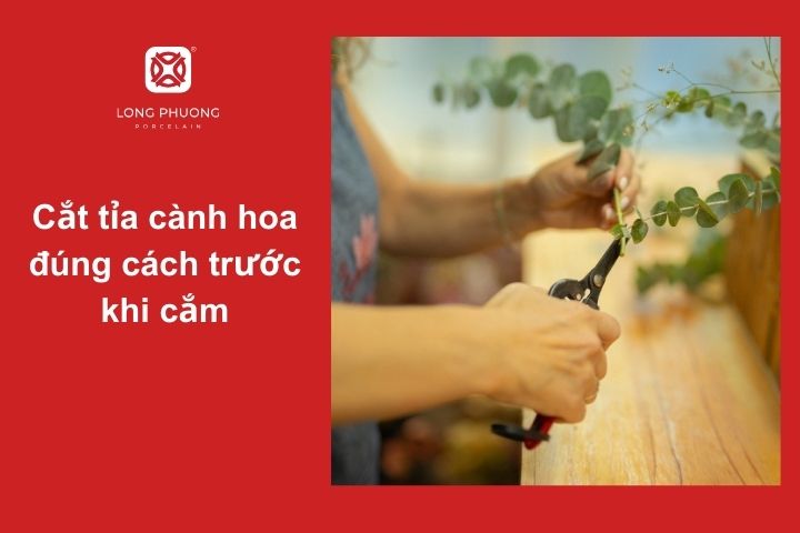 Hướng dẫn cắt tỉa hoa cẩm chướng để hoa tươi được lâu