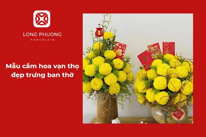Hoa vạn thọ cắm thành trùm trong bình thấp sang trọng