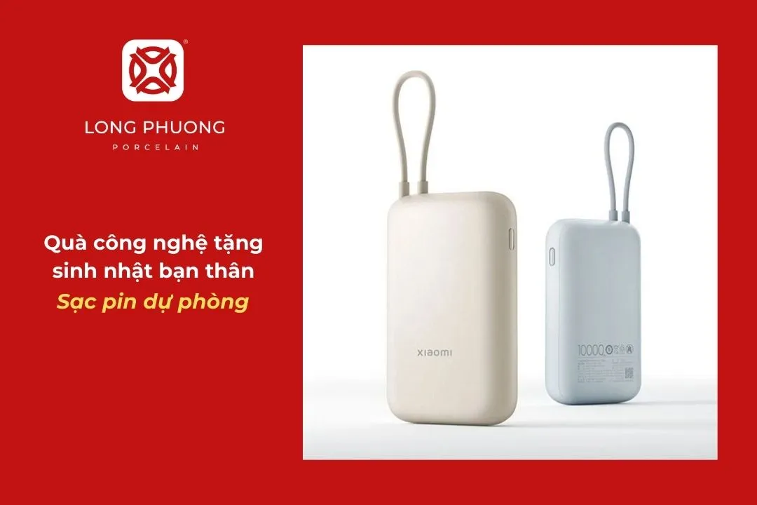 mua pin dự phòng làm quà sinh nhật