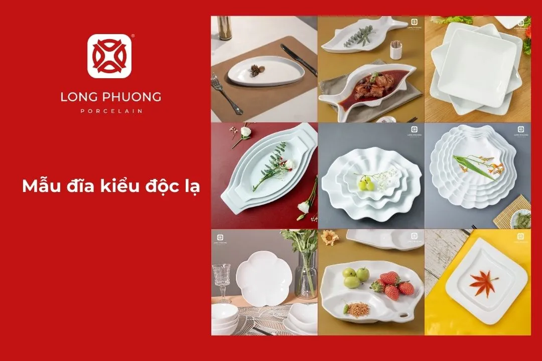 các mẫu đĩa kiểu bày thịt bò chính hãng long phương