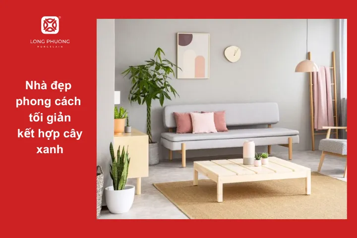 Trang trí nhà bằng cây xanh và phụ kiện