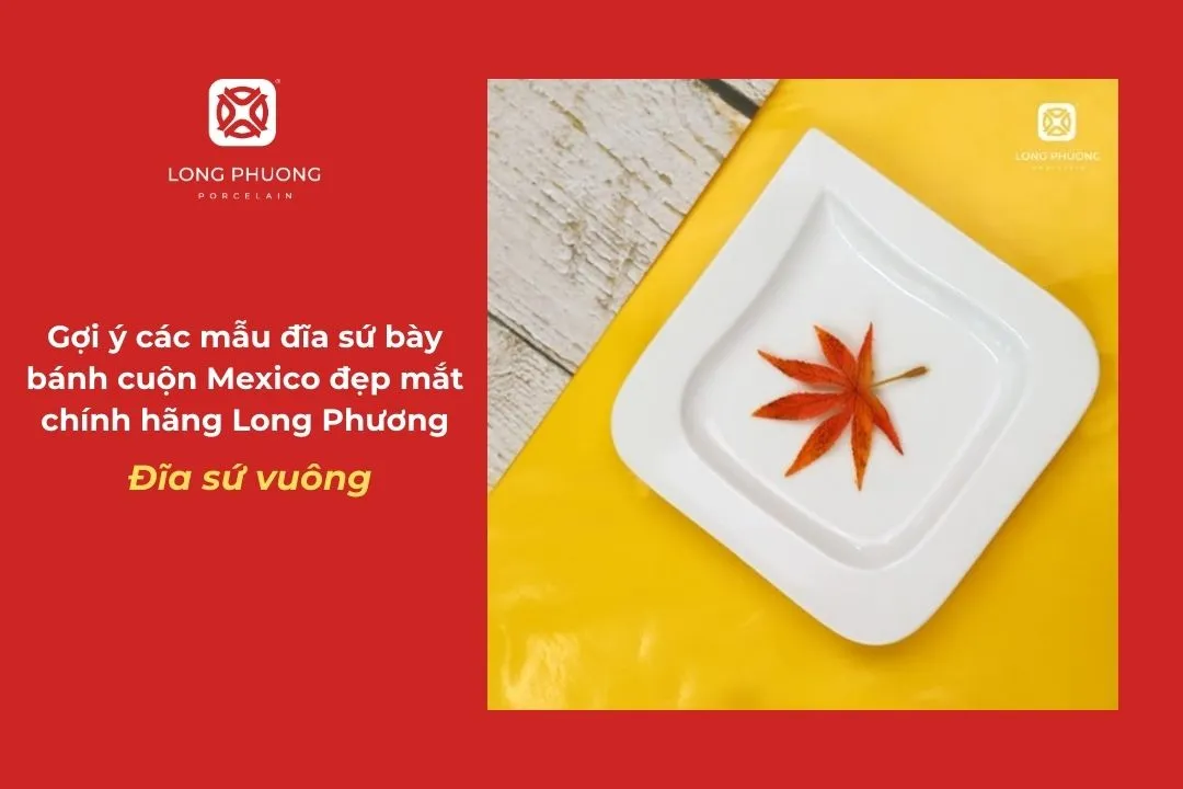 đĩa sứ vuônh bày bánh cuộn mexico