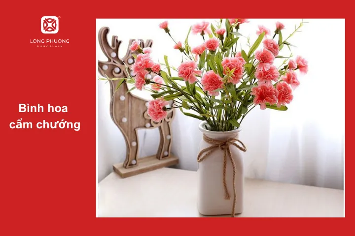 Hoa cẩm chướng có nhiều màu sắc để lựa chọn