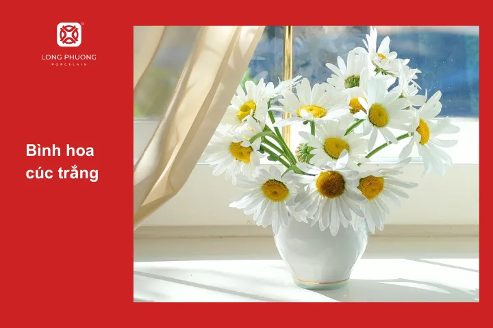 Hoa cúc trắng rất thích hợp cho phòng làm việc