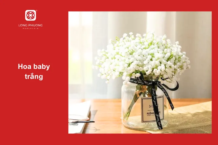 Hoa baby trắng làm căn phòng thêm dịu dàng xinh đẹp