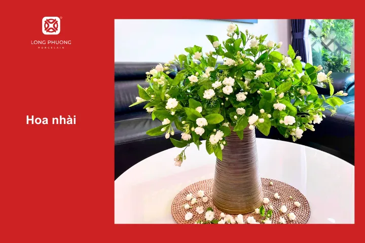 Hoa nhài là một lựa chọn thích hợp cho phòng ngủ