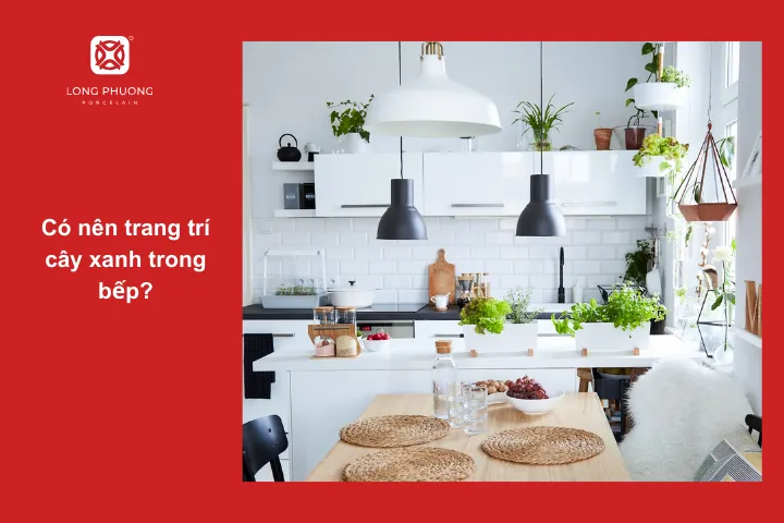 Đặt cây xanh trong bếp mang lại nhiều lợi ích khi trang trí nhà bếp