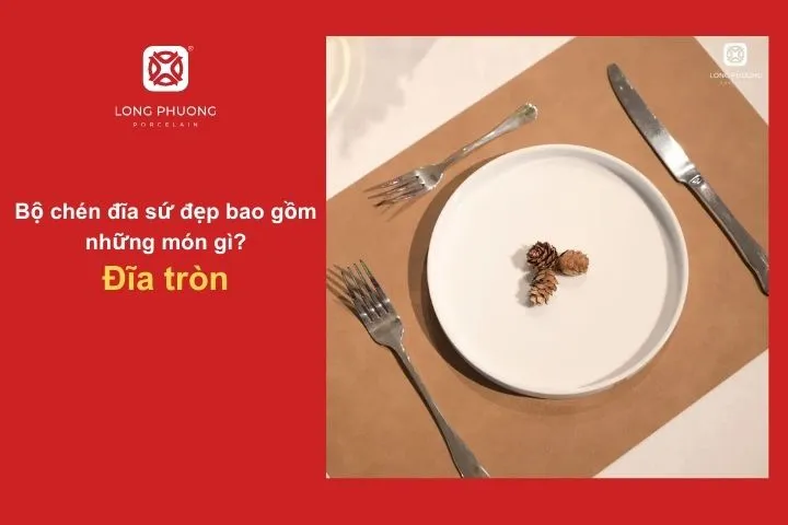 Kích cỡ đa dạng, từ đĩa nhỏ đựng bánh, đồ ăn nhẹ đến đĩa lớn bày món chính, món chiên xào.