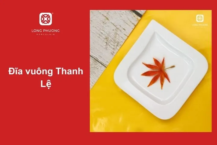 Phong cách hiện đại, thanh lịch cho món ăn trình bày tinh tế