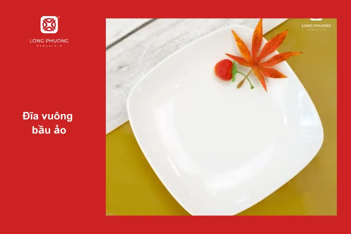 Đĩa vuông bầu ảo với phần lòng lõm nhẹ