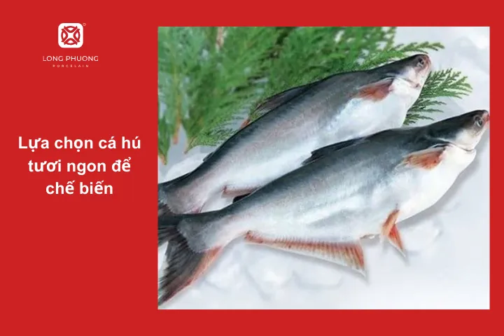 Muốn có món ăn ngon, phải chọn được cá tươi