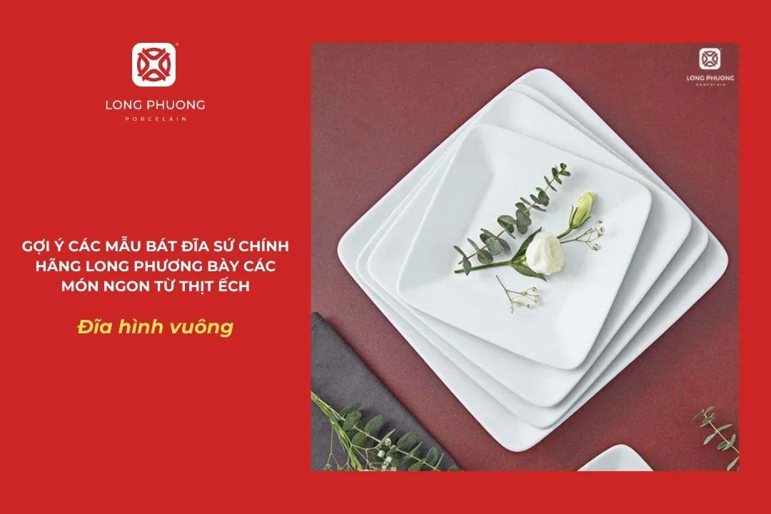 mua đĩa vuông chính hãng long phương