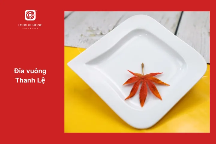 Đĩa vuông Thanh Lệ với thiết kế độc đáo, bắt mắt