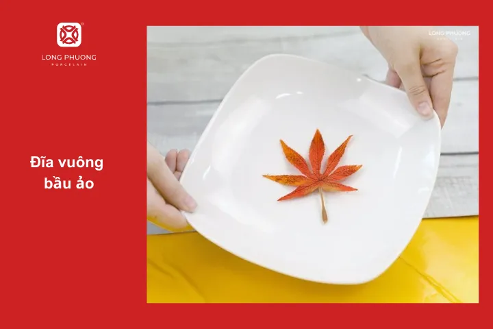 Đĩa vuông bầu ảo có thể đựng thức ăn có sốt