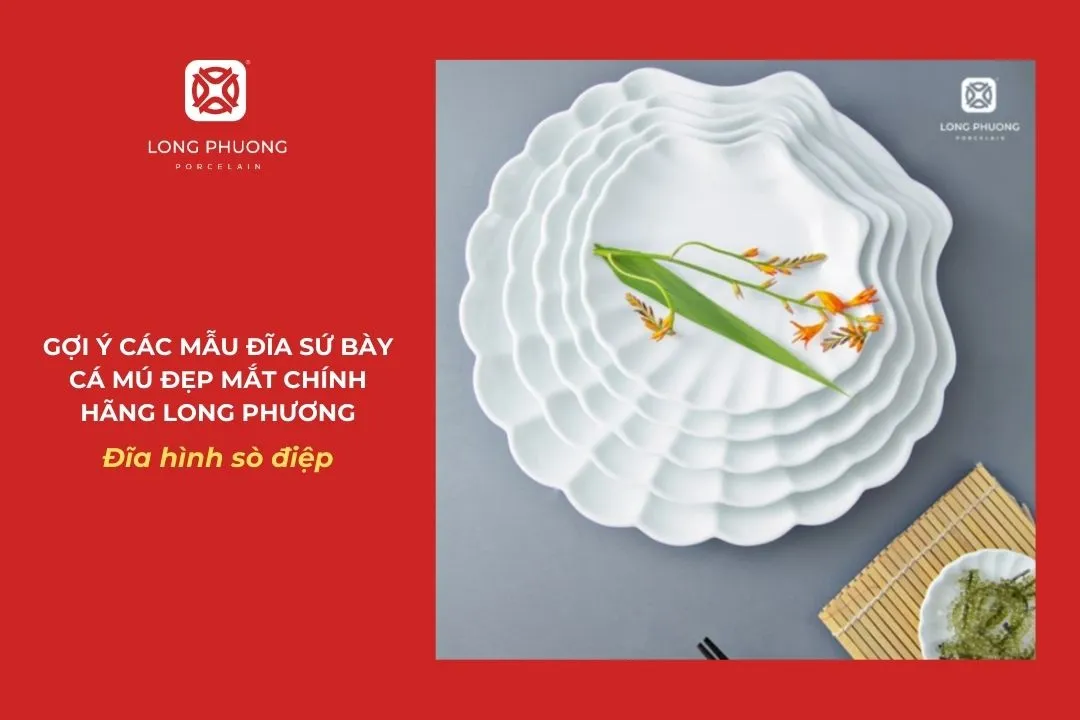 đĩa vỏ sò chính hãng long phương