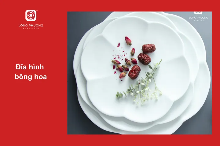 Đĩa sứ trắng tinh tế nhẹ nhàng siêu phù hợp cho các món ăn thanh đạm