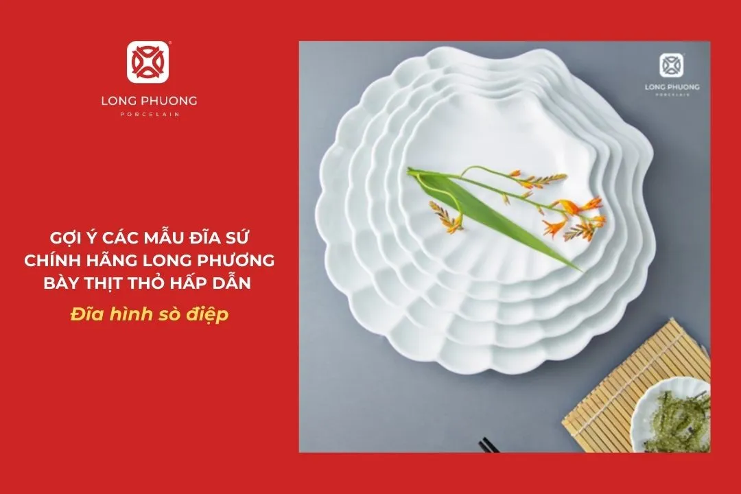 đĩa sứ hình vỏ sò